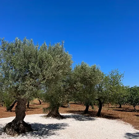 Masseria Concorrano Apartment
