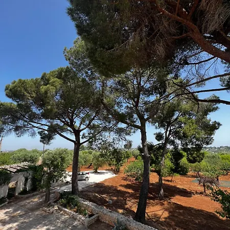 Apartman Masseria Concorrano *
