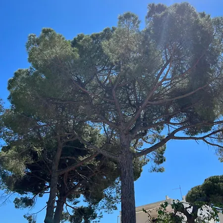 Masseria Concorrano